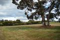 Property photo of 6 Cottonwood Close Kangaroo Gully WA 6255