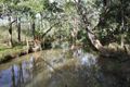 Property photo of 6 Harte Close Mareeba QLD 4880