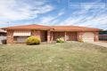 Property photo of 60 Dalman Parkway Glenfield Park NSW 2650