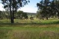 Property photo of 117 Herbert Park Road Armidale NSW 2350
