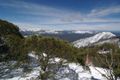 Property photo of 1/146 Standard Lane Mount Buller VIC 3723