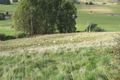 Property photo of 490 Back Road Wilmot TAS 7310