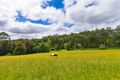 Property photo of 15 Collie Road Gembrook VIC 3783