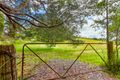 Property photo of 15 Collie Road Gembrook VIC 3783