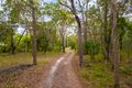 Property photo of 86 Wilkinson Road Tuan QLD 4650