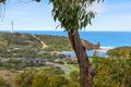 Property photo of 50 Narani Way Fairhaven VIC 3231