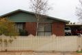 Property photo of 33 Bruton Grove Swan Hill VIC 3585