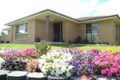 Property photo of 25 Leonora Crescent Kootingal NSW 2352