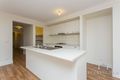 Property photo of 22 Thoroughbred Boulevard Doreen VIC 3754