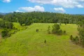 Property photo of 198 Bow Hill Road Dollys Flat NSW 2429