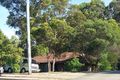 Property photo of 247 Cotlew Street Ashmore QLD 4214