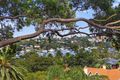 Property photo of 41 Cliff Road Northwood NSW 2066