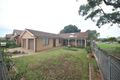 Property photo of 18 Allan Avenue Belmore NSW 2192