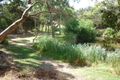 Property photo of 79A White Avenue Lockleys SA 5032