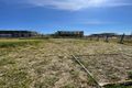 Property photo of 43 Steeplechase Street Box Hill NSW 2765