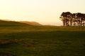 Property photo of 17 Harcus River Road Marrawah TAS 7330