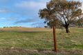 Property photo of 277 Moss Smith Road Eden Valley SA 5235