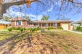 Property photo of 19 Waree Drive Hillvue NSW 2340