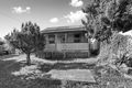 Property photo of 146 Douglas Street Stockton NSW 2295