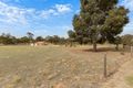 Property photo of 6 Docking Road Sandy Creek SA 5350