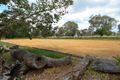 Property photo of 338 Aubigny Crosshill Road Aubigny QLD 4401
