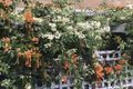 Property photo of 255 Eastern Valley Way Middle Cove NSW 2068