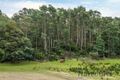 Property photo of 670 Ironcliffe Road Penguin TAS 7316