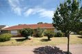Property photo of 508 Marion Road Plympton Park SA 5038