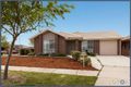 Property photo of 34 Gwen Meredith Loop Franklin ACT 2913