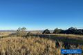 Property photo of 13150 Princes Highway Brogo NSW 2550