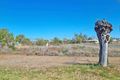 Property photo of 1 Wilson Street Brewarrina NSW 2839