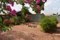 Property photo of 7 Blain Street Tennant Creek NT 0860