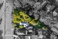 Property photo of 39 Kissing Point Road Dundas NSW 2117