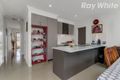 Property photo of 3 Burnside Way Mernda VIC 3754