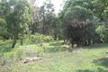 Property photo of 19 Kurrajong Circuit Millstream QLD 4888