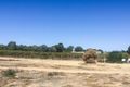 Property photo of 17 Elephant Trunk Road Cobdogla SA 5346