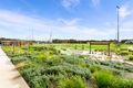 Property photo of 3 Dusty Way Catherine Field NSW 2557