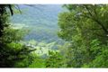 Property photo of 616 Tomewin Mountain Road Currumbin Valley QLD 4223