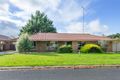 Property photo of 41 Starline Place Mount Gambier SA 5290
