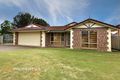 Property photo of 41 Dampier Crescent Drewvale QLD 4116