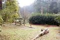 Property photo of 3 Edmunds Road Cockatoo VIC 3781