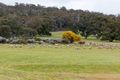 Property photo of 40 Norwood Road Clackline WA 6564