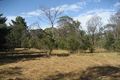 Property photo of 10 Osborne Avenue Bittern VIC 3918