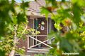 Property photo of 9 Bucknel Circuit Isabella Plains ACT 2905