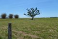Property photo of 8 North Woodburn Lane North Woodburn NSW 2471