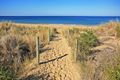 Property photo of 13 Alyxia Court Torquay VIC 3228