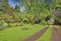 Property photo of 410 Belgrave-Gembrook Road Emerald VIC 3782