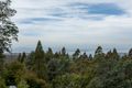 Property photo of 19 Grays Road Fern Tree TAS 7054