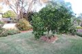 Property photo of 11 Central Lansdowne Road Lansdowne NSW 2430