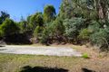 Property photo of 123 Silver Creek Road Flowerdale VIC 3717